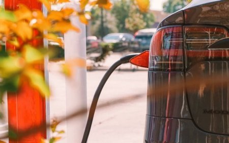 Yenilenebilir Enerji Yatırımları