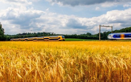 Yenilenebilir Enerji İnovasyonları