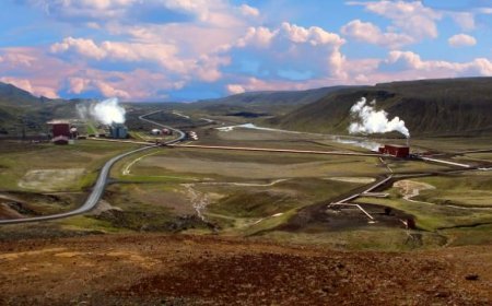 Sürdürülebilir Dönüşümün Öncüsü